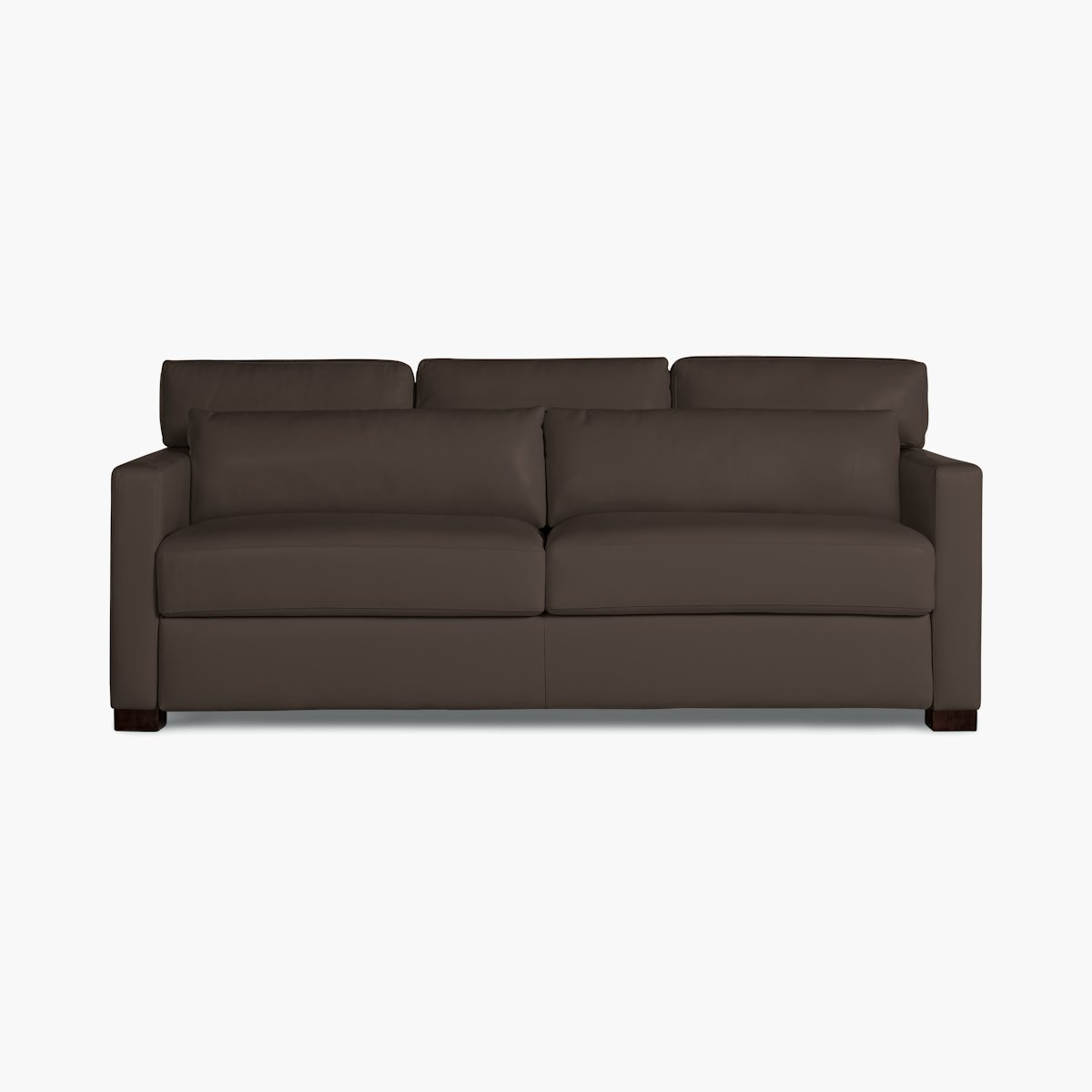 Vesper Sleeper Sofa, Leather